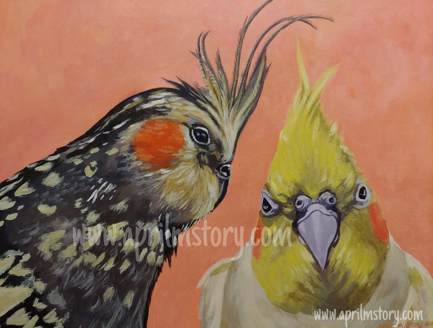Custom Portraits